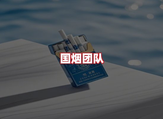 国烟团队